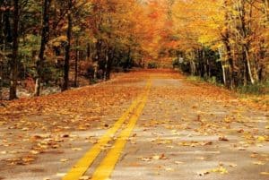 autumn road with colorful leaves